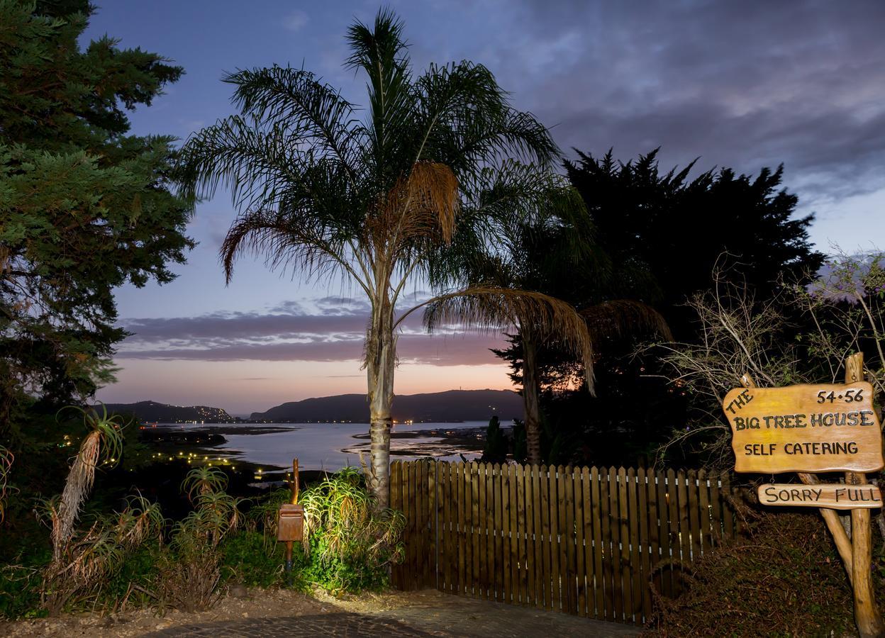 Big Tree House Lodge Κνύσνα Εξωτερικό φωτογραφία