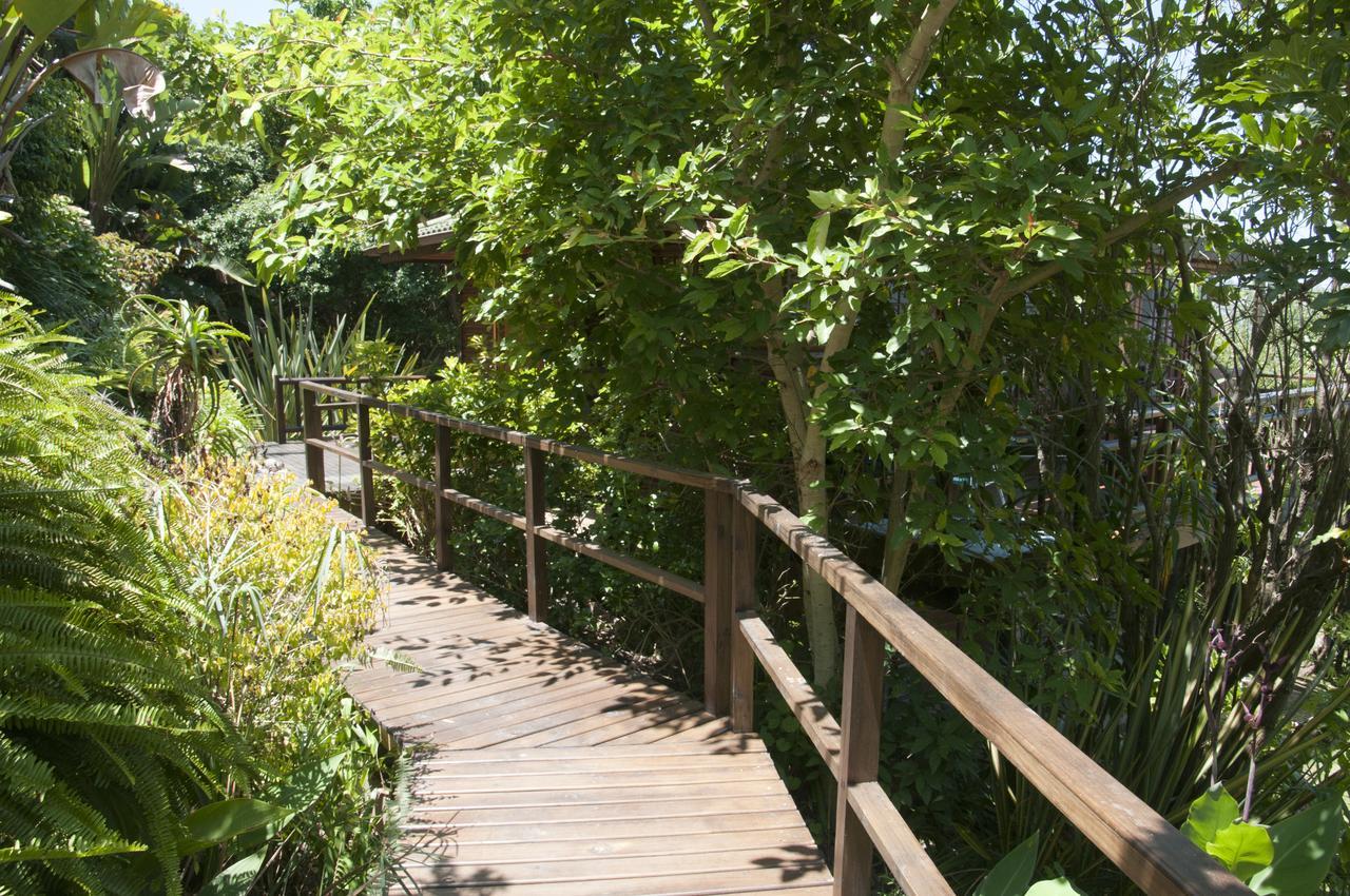 Big Tree House Lodge Κνύσνα Εξωτερικό φωτογραφία