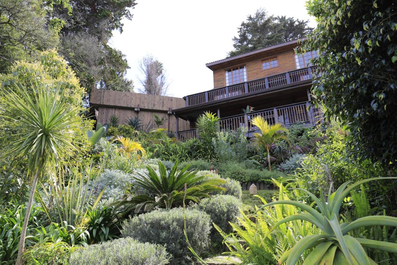 Big Tree House Lodge Κνύσνα Εξωτερικό φωτογραφία