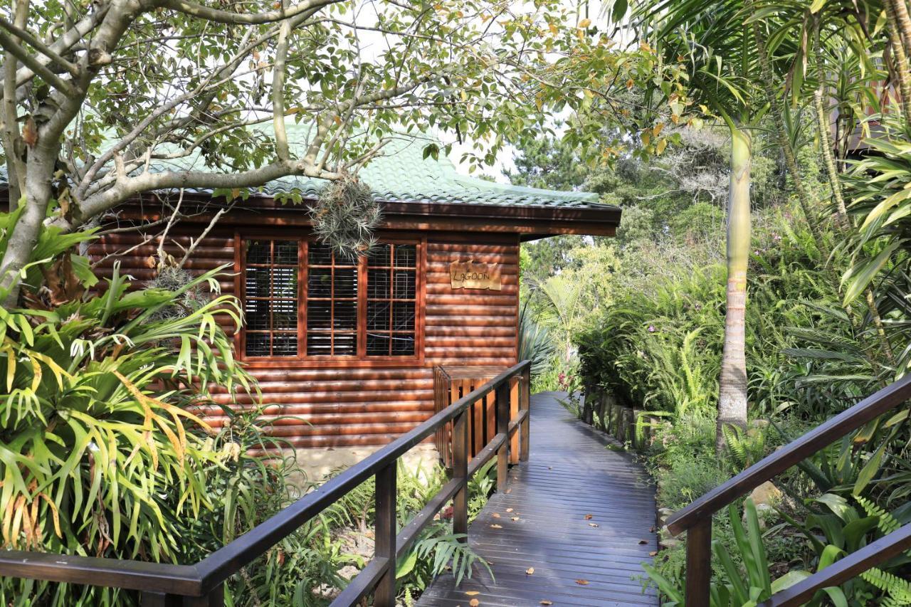 Big Tree House Lodge Κνύσνα Εξωτερικό φωτογραφία