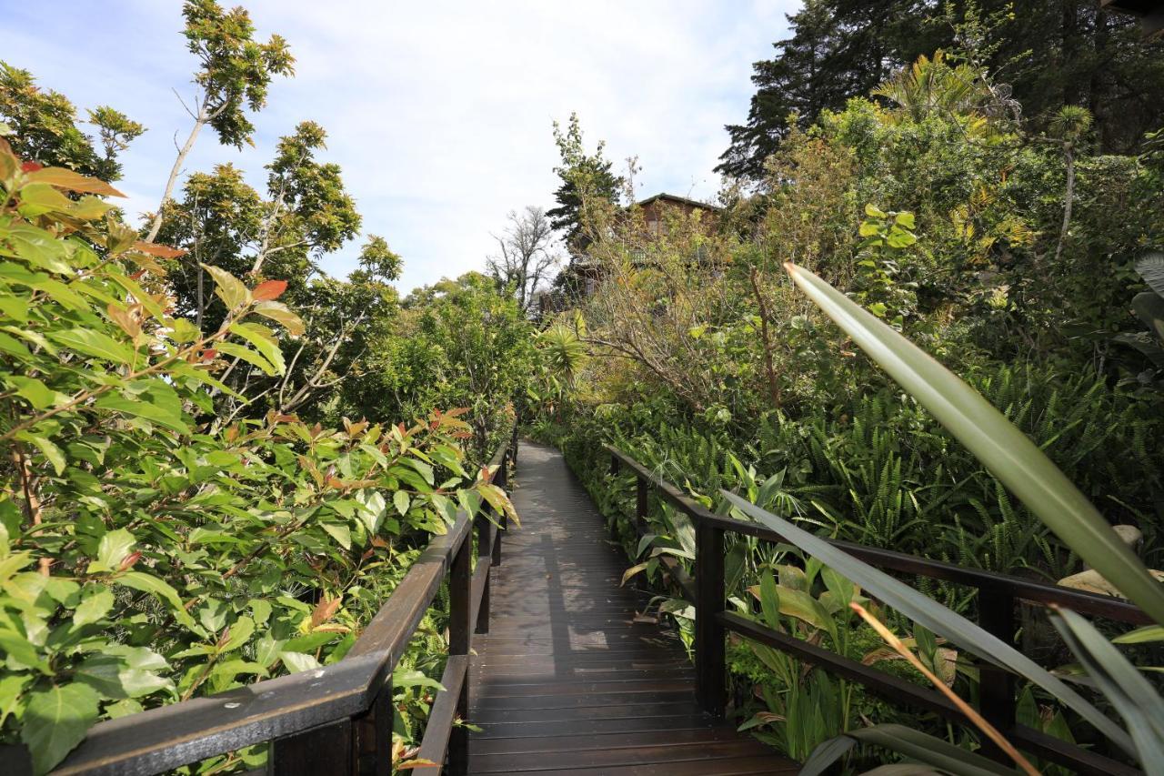 Big Tree House Lodge Κνύσνα Εξωτερικό φωτογραφία